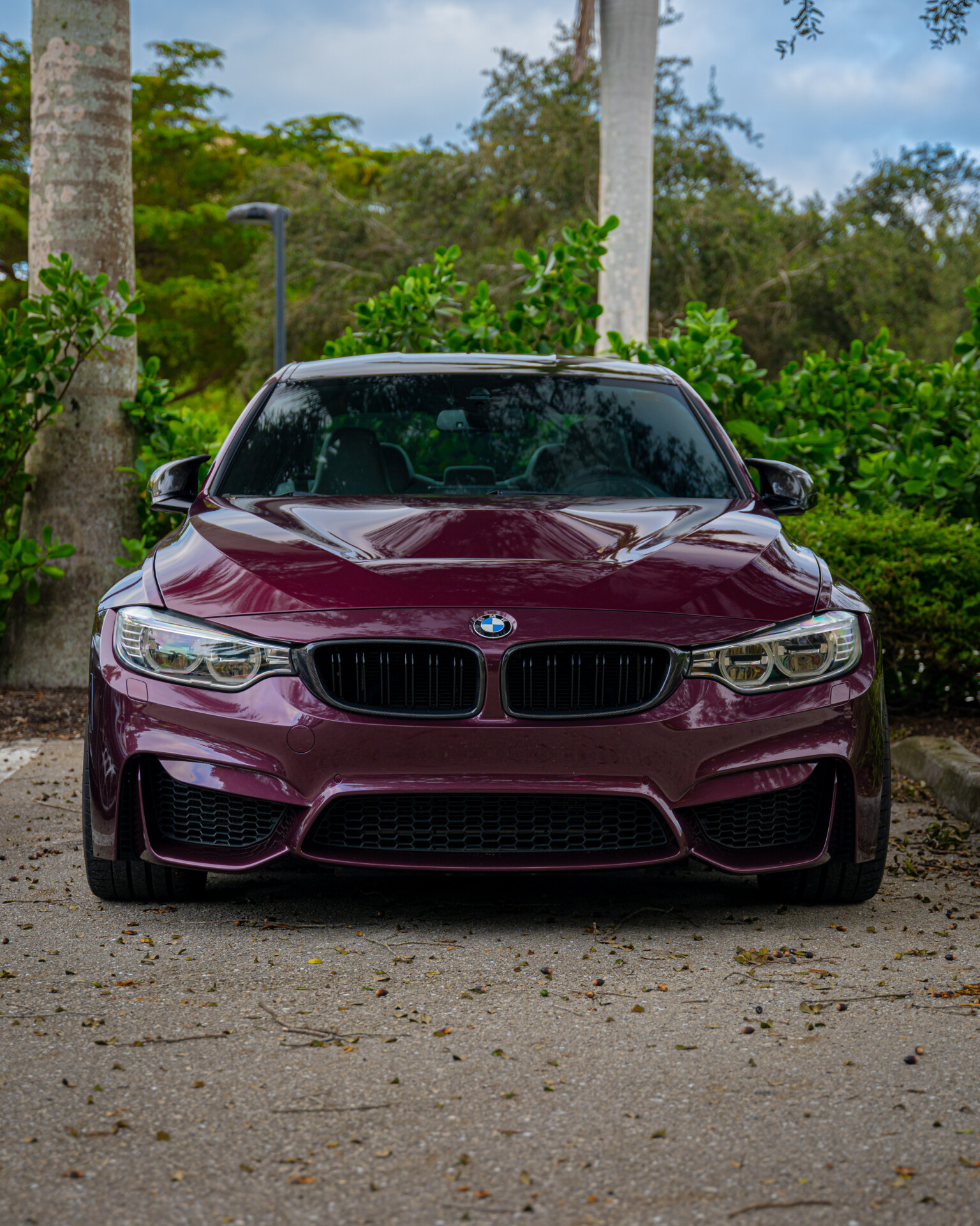 wildberry individual bmw paint color code f80 m3